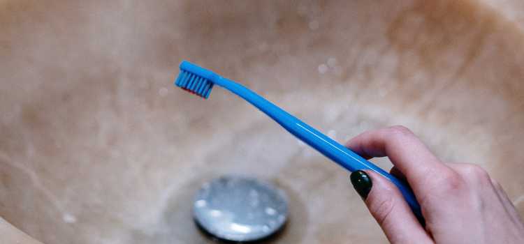 Budget-Friendly Picks coolest Toothbrush Holder